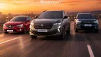 رينو  (1)