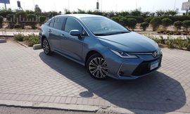 تويوتا كورلا