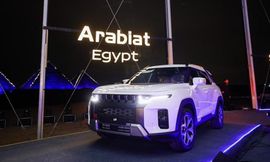 سانج يونج توريس