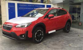 سوبارو اكس في 6