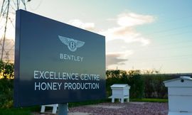 bentley-honey-harvest