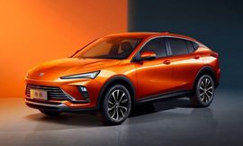 بيويك إنفيستا