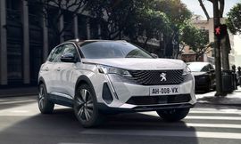 Peugeot-3008-2021-800-25
