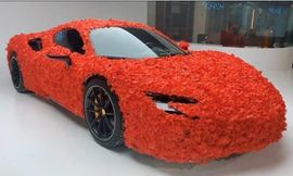 WhatsApp Image 2022-02-15 at 10.09.39 AM