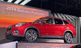 image-uploaded-from-ios-2_11