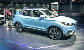 mg_zs_1889a