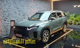 سانج يونج توريس