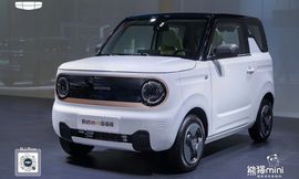 جيلي باندا ميني