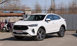 Haval 1