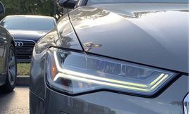 42023161949387313561820