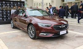 أوبل انسيجنيا