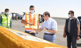 سوق السيارات الجديد 1