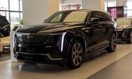 كاديلاك في مصر