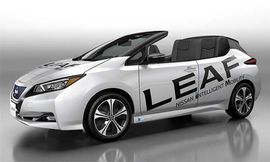 1_578_872_0_70_http___cdni.autocarindia.com_ExtraImages_20180531031012_leaf_5