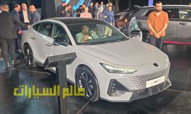 شانجان يوني-في