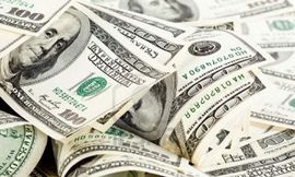 الدولار الجمركى