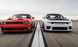 دراسة السيارات العضلية والصغيرة أكثرهم حوادث  3