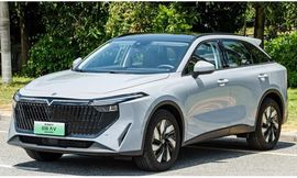 فيتوشيا في أونلاين