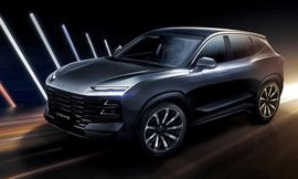 جيتور داشينج