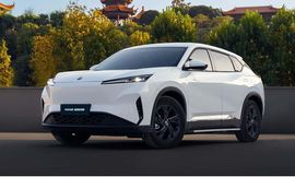 دونج فينج ميج