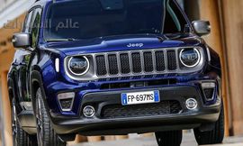 جيب رينيجيد