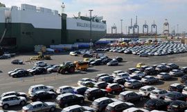 جمارك بورسعيد