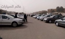 received_784760085214005