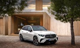 WhatsApp Image 2025-09-11 at 2.56.26 PM