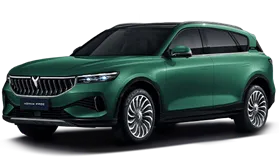 فويا فري (REV) |