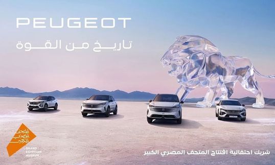 WhatsApp Image 2025-11-03 at 4.17.08 PM