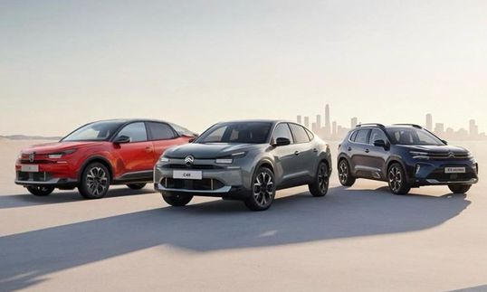 WhatsApp Image 2025-12-11 at 11.00.25 AM