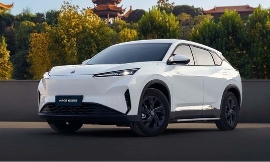 دونج فينج ميج