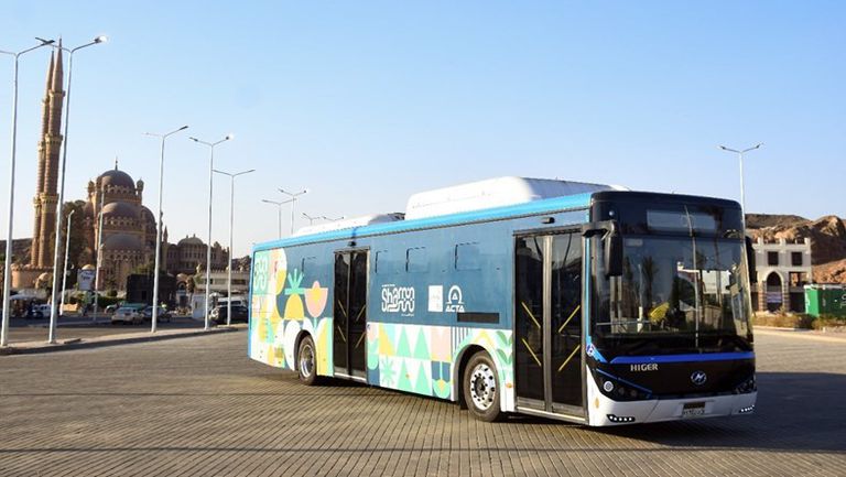 WhatsApp Image 2022-10-20 at 12.24.49 PM