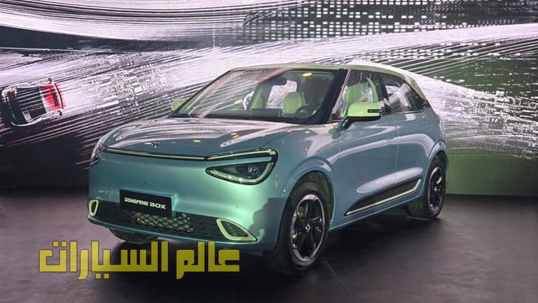 دونج فينج بوكس