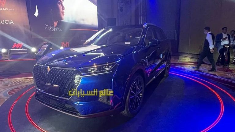 فينوشيا ستار