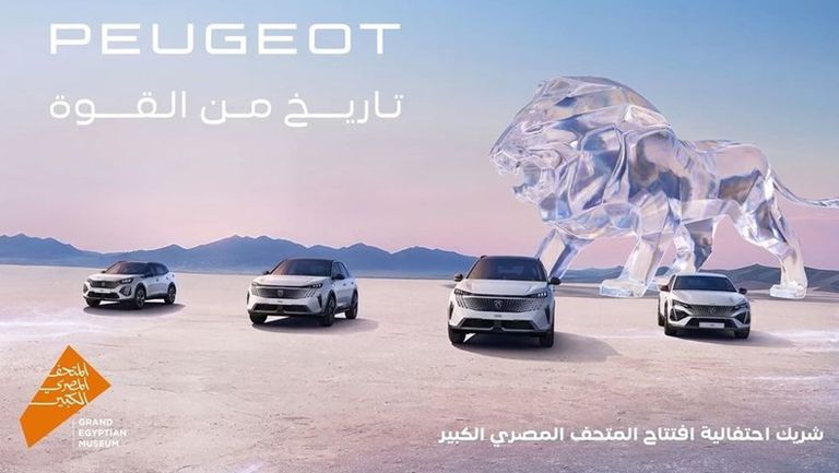 WhatsApp Image 2025-11-03 at 4.17.08 PM