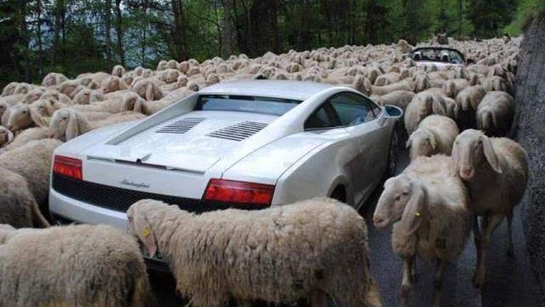 زحام من نوع آخر