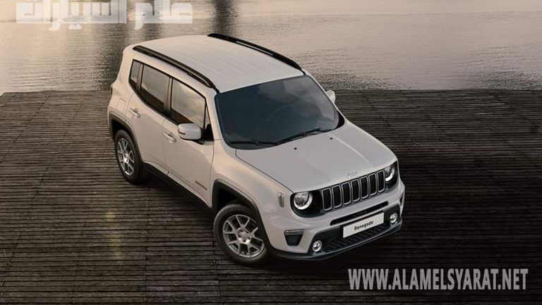 جيب رينيجيد