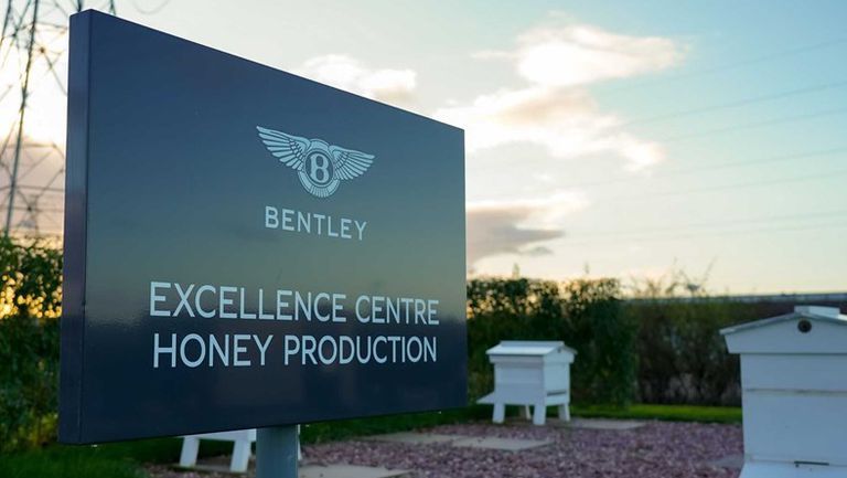 bentley-honey-harvest