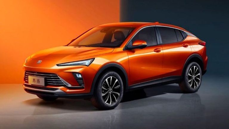 بيويك إنفيستا