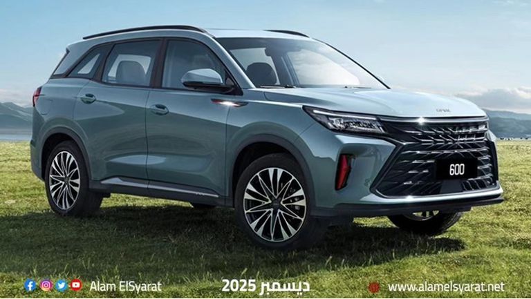 دي إف إس كيه 600