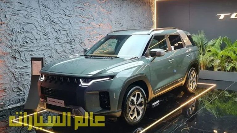 سانج يونج توريس