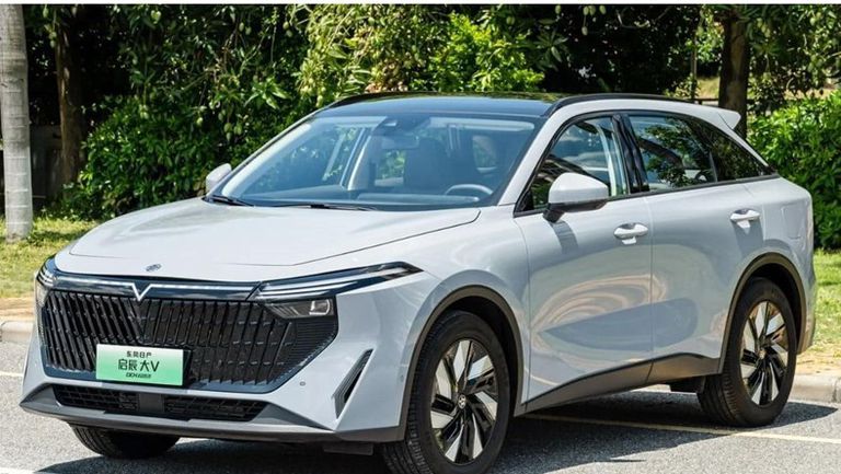 فيتوشيا في أونلاين