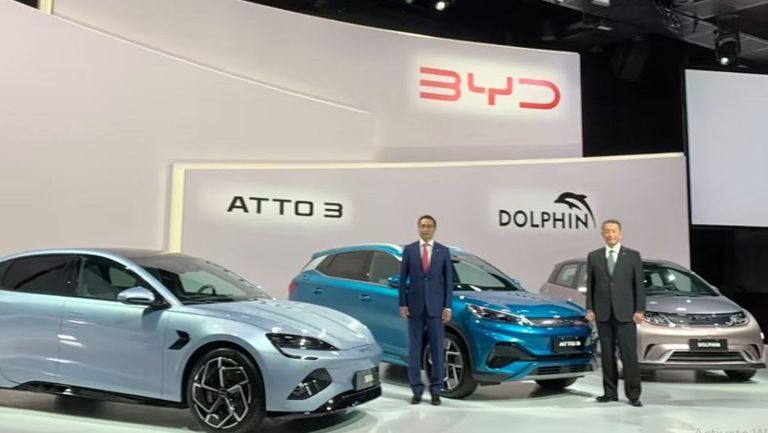 مبيعات بي واي دي