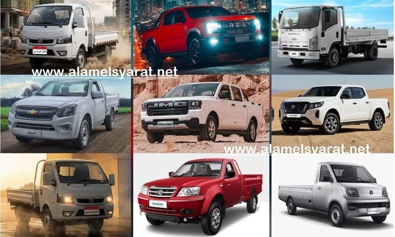 سيارات نقل في السوق المصري 1