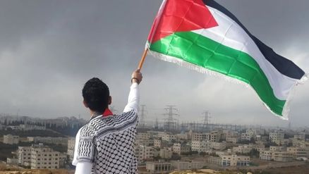 شاب يرفع علم فلسطين