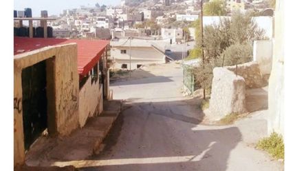 حي سكني بإحدى القرى التي تتبع لبلدية برما في محافظة جرش-(الغد)