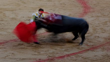 مصارع ثيران يتعرض للنطح من قبل ثور في مصارعة الثيران في سانفيرمينس في بامبلونا في إسبانيا، 8 تموز/ يوليو 2023. (رويترز)
