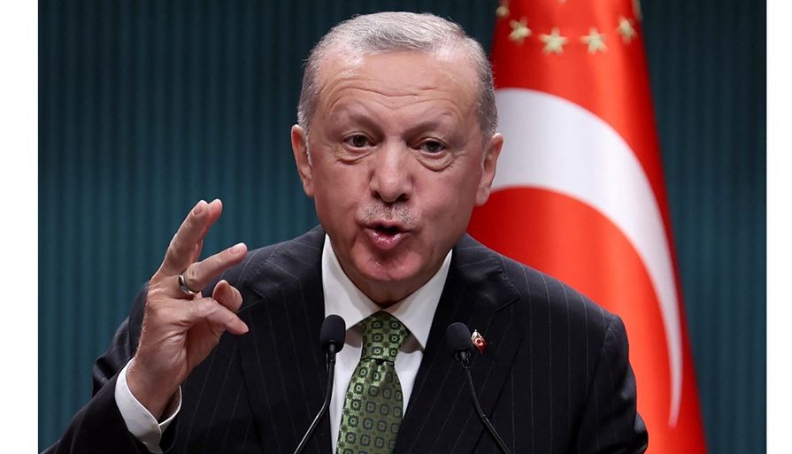 الرئيس التركي رجب طيب أردوغان - (أرشيفية)