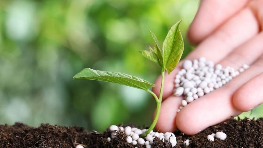 اتفاقية لإنشاء مشروع ضخم للأمونيا الخضراء بقيمة 9 مليارات يورو – جريدة الغد | مصدرك الأول لأخبار الأردن والعالم اتفاقية لإنشاء مشروع ضخم للأمونيا الخضراء بقيمة 9 مليارات يورو – جريدة الغد | مصدرك الأول لأخبار الأردن والعالم